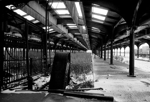 IMG_1503-Edit